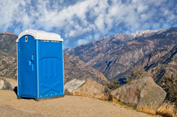 Best Portable Toilet Rental for Emergency Services  in St Hedwig, TX